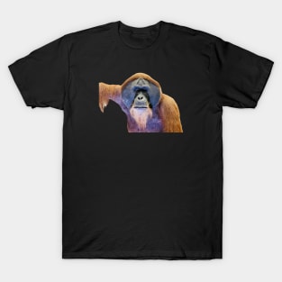 Orangutans / Swiss Artwork Photography T-Shirt